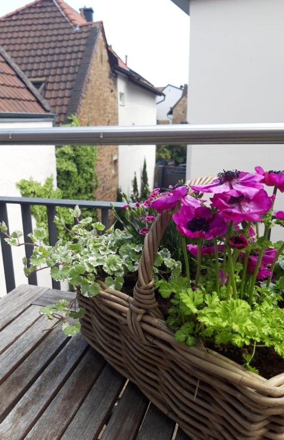 Die Französin Deidesheim Exterior foto
